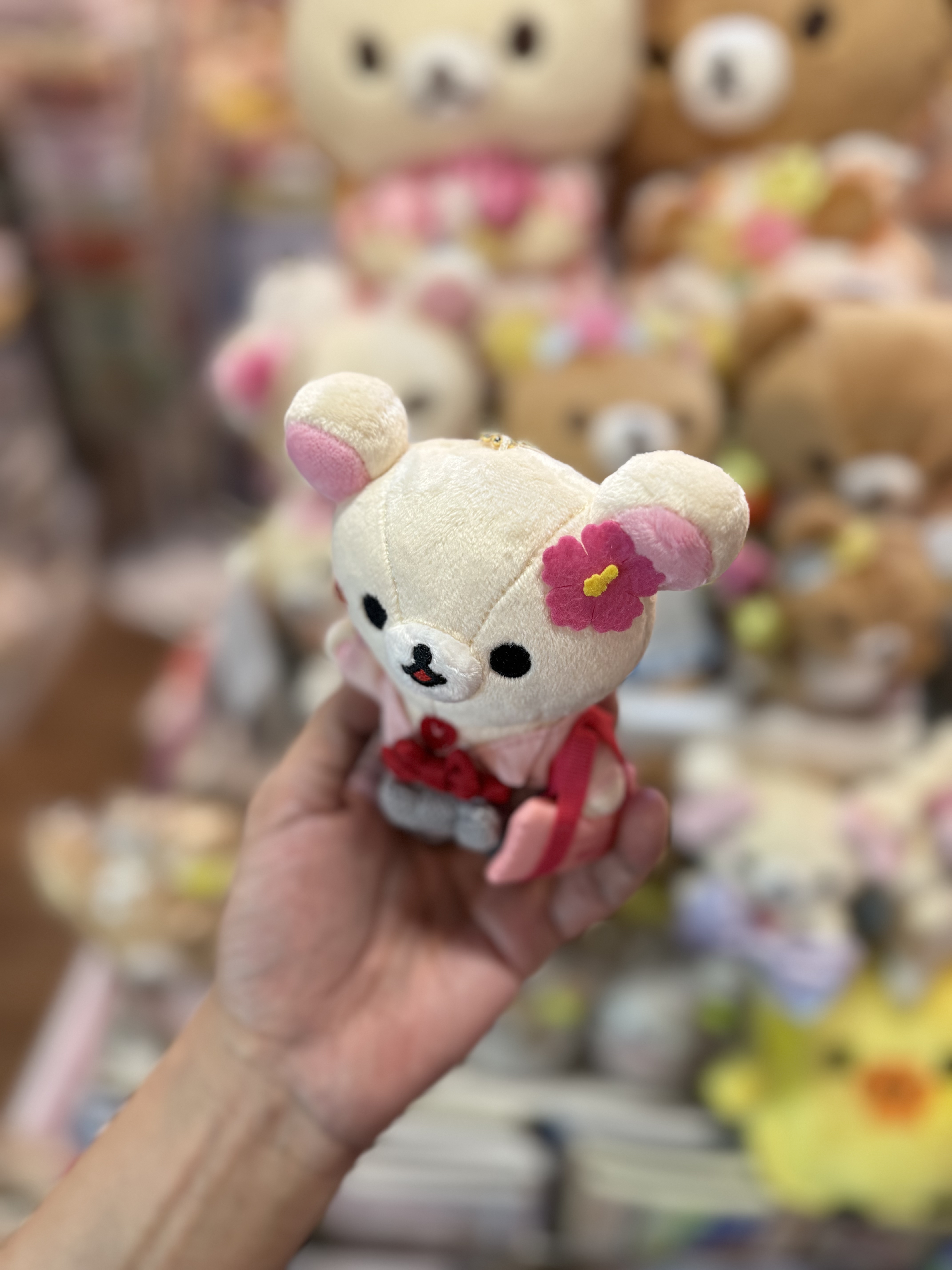 《現貨》全新日本專店限定小白熊學生服造型掛飾