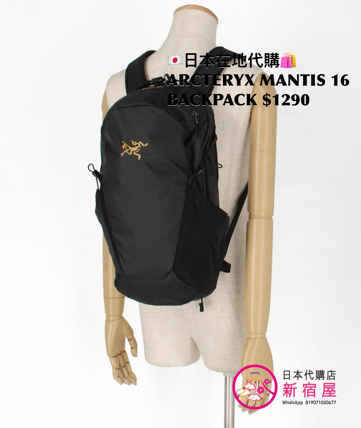 ARCTERYX MANTIS 16 BACKPACK