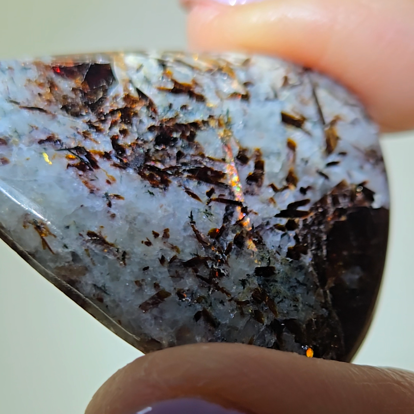 Astrophyllite cabochon with flashy golden flakes - AST21