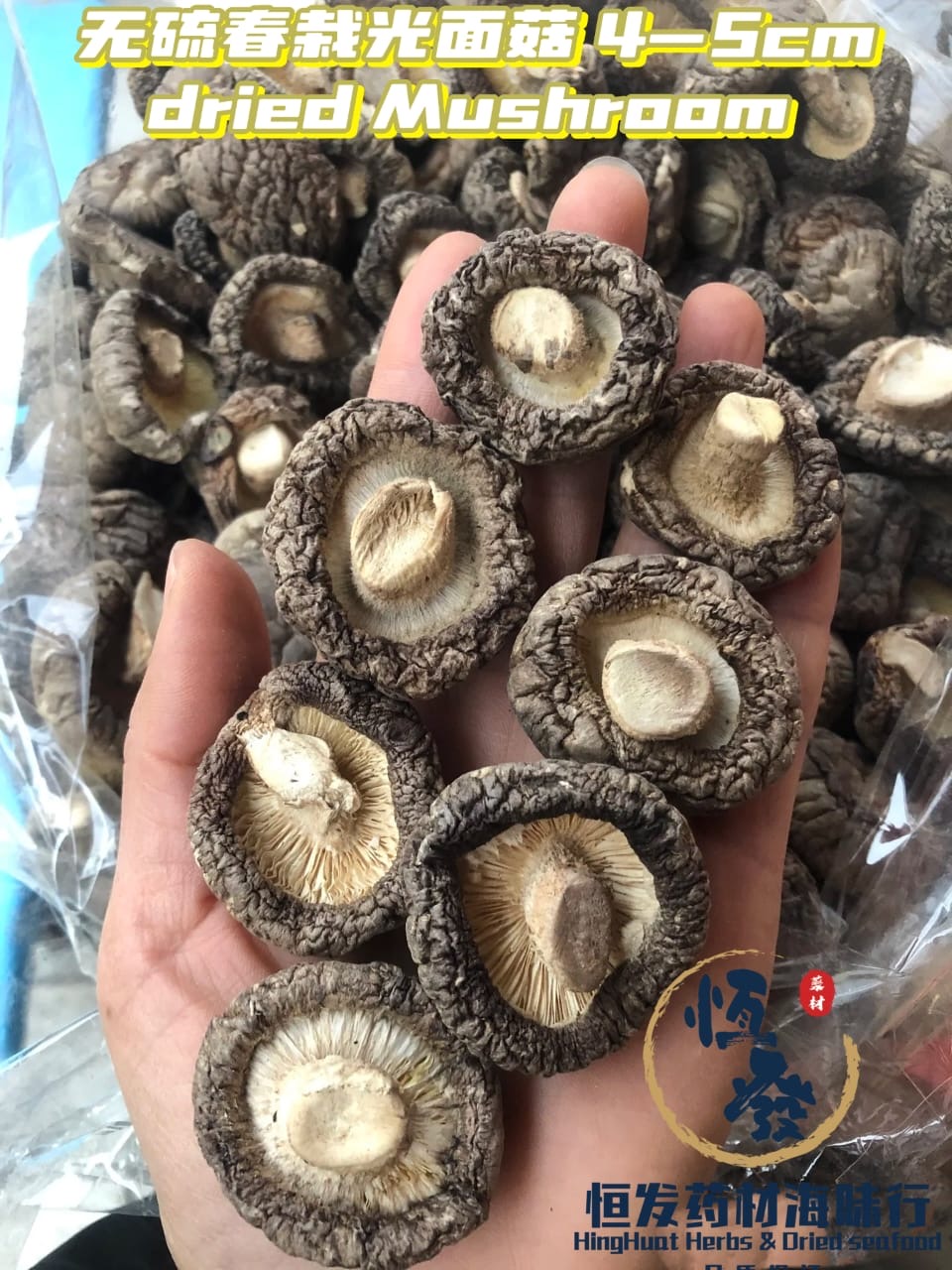 无硫4-5CM光面菇 Dried Mushroom 4-5CM 300gm