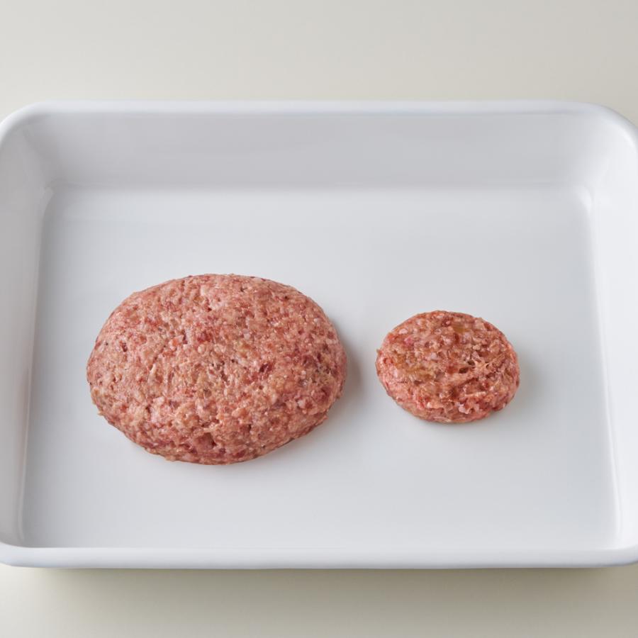 🔥🔥【日本製《LEYE》漢堡扒成型器】