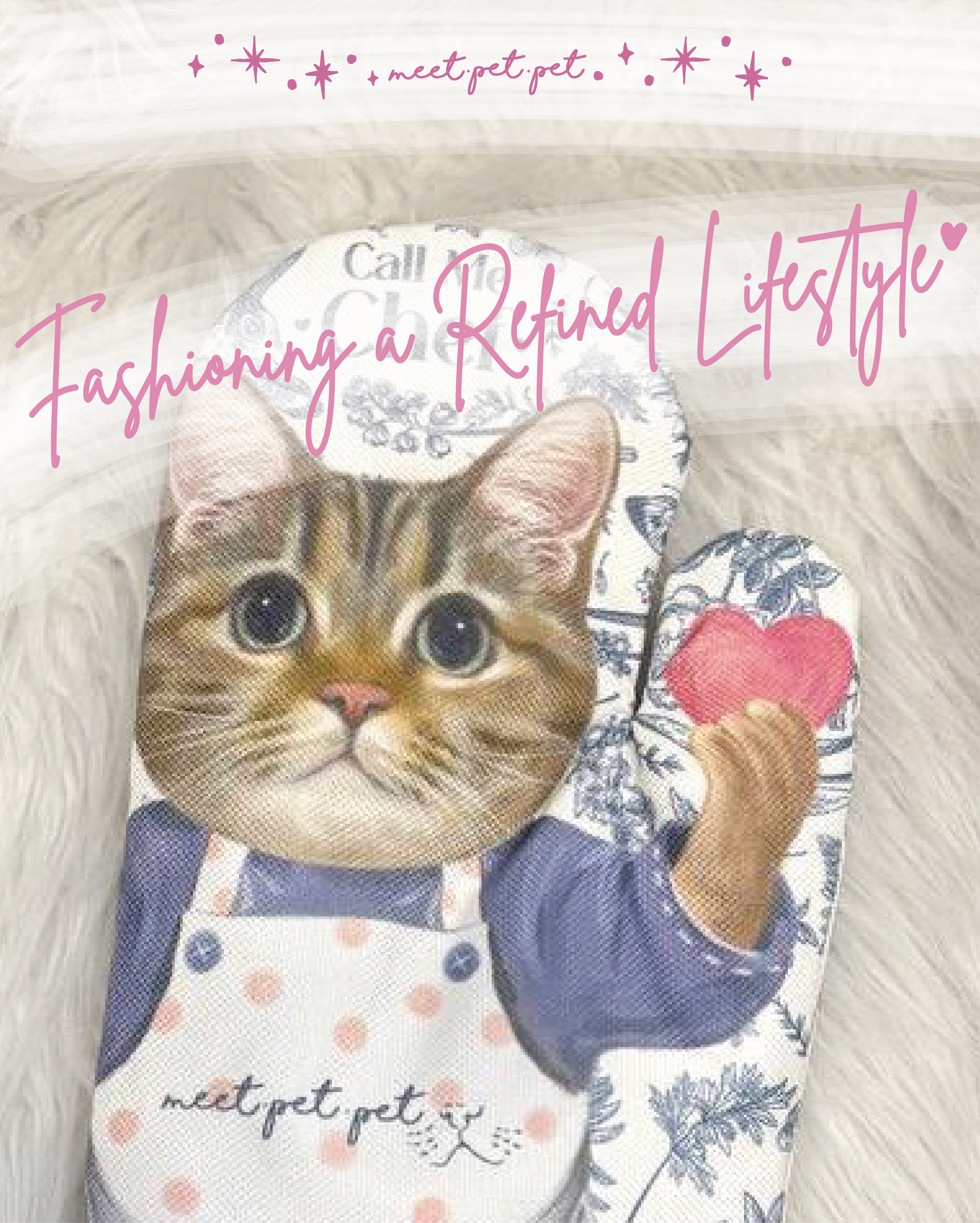 ⋆ 狸花貓 ⋆ 隔熱手套 ⋆