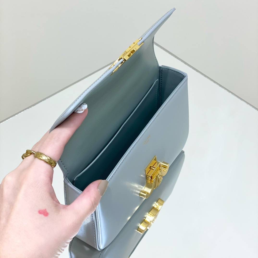 🔥大货实拍图 𝗖𝗘𝗟𝗜𝗡𝗘 ♥ 𝗧𝗥𝗜𝗢𝗠𝗣𝗛𝗘链条腋下包 型号：197993 尺寸：20.5*11.5*4cm