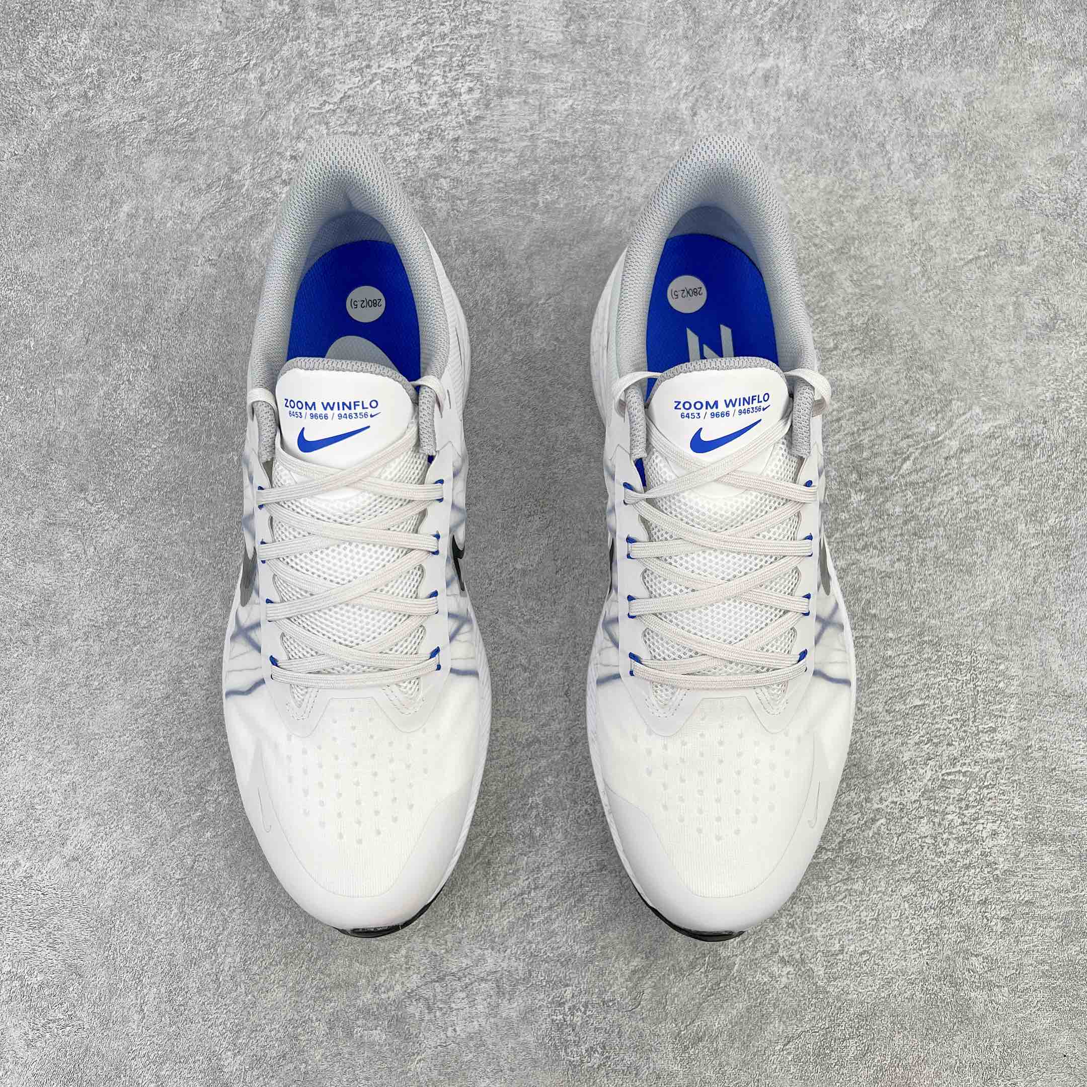 Nike Zoom Winflo 8 CW3419-008  