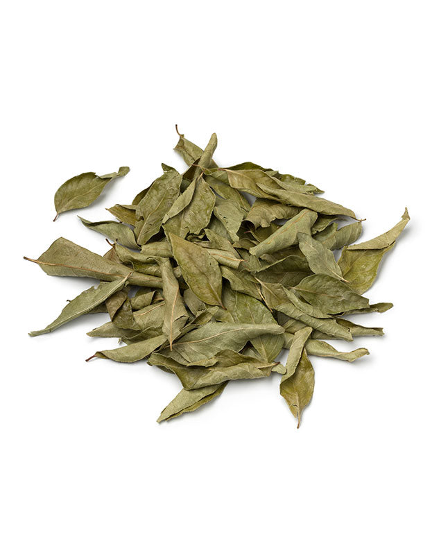印度乾咖哩葉 Dried Curry Leaves – Aromatic & Authentic Indian Flavor ताज़ा / सूखी करी पत्ते – सुगंधित और प्रामाणिक भारतीय स्वाद