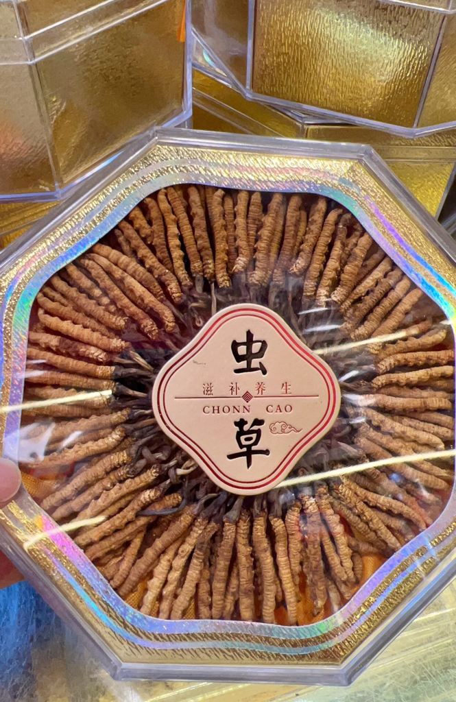 西藏野生那曲冬蟲夏草