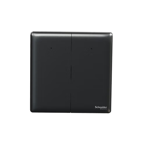 施耐德 Unica X 石墨灰 2位單控 帶指示燈 開關掣