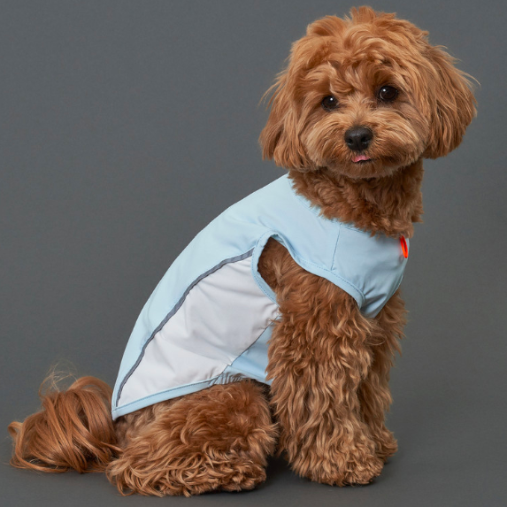 *SuperPet🇰🇷狗狗涼感機能背心