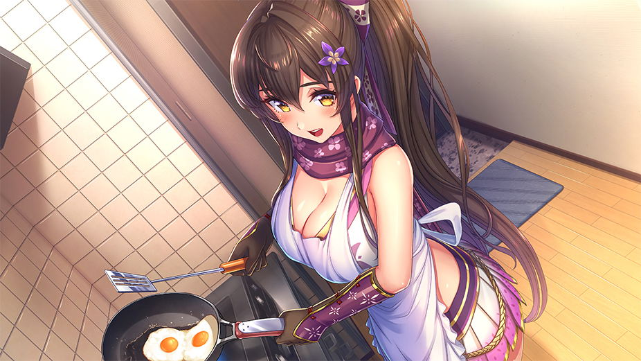 【預售 3/9】NS Days Collection: 女忍者戀愛二部曲 / Days Collection: NinNin Heroines 中/英/日文  (中文封面) NSW-4017