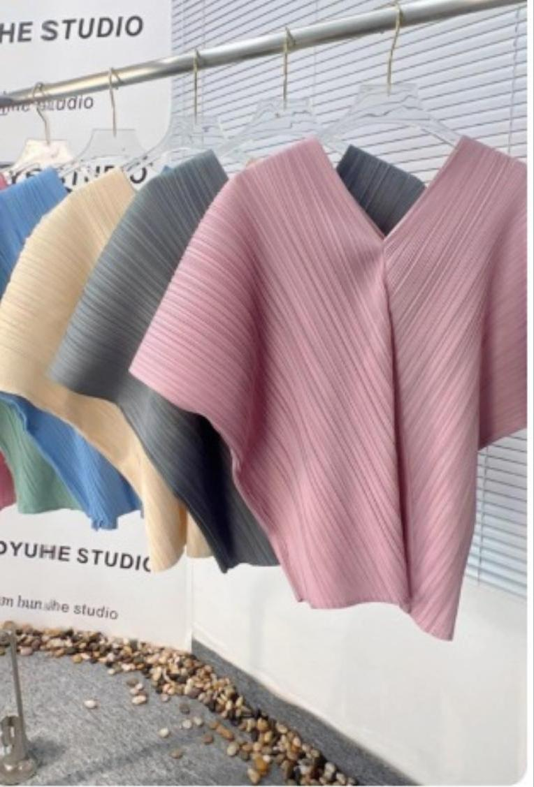 Wide V Pleated Blouse