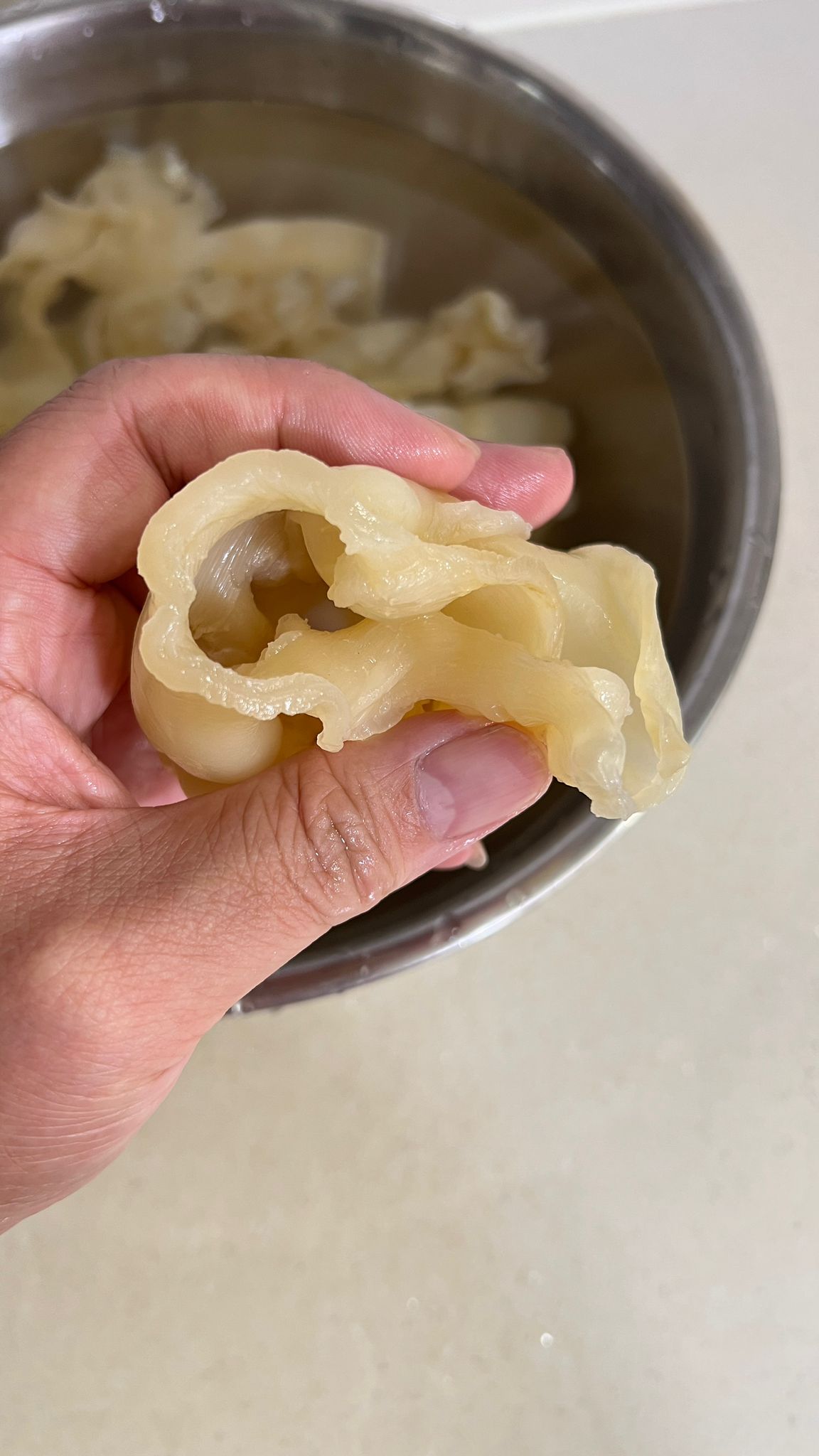 澳洲野生鹹水片65頭