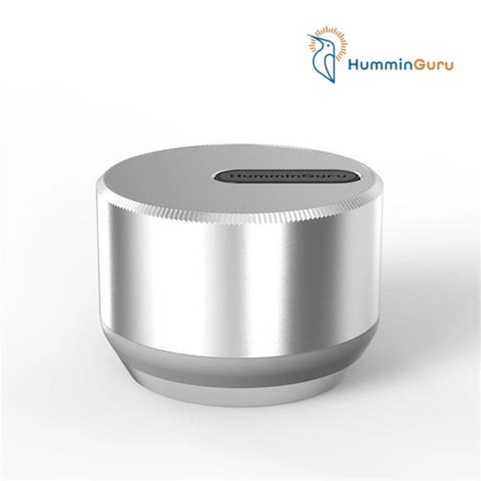 HumminGuru Lumi Record Stabilizer