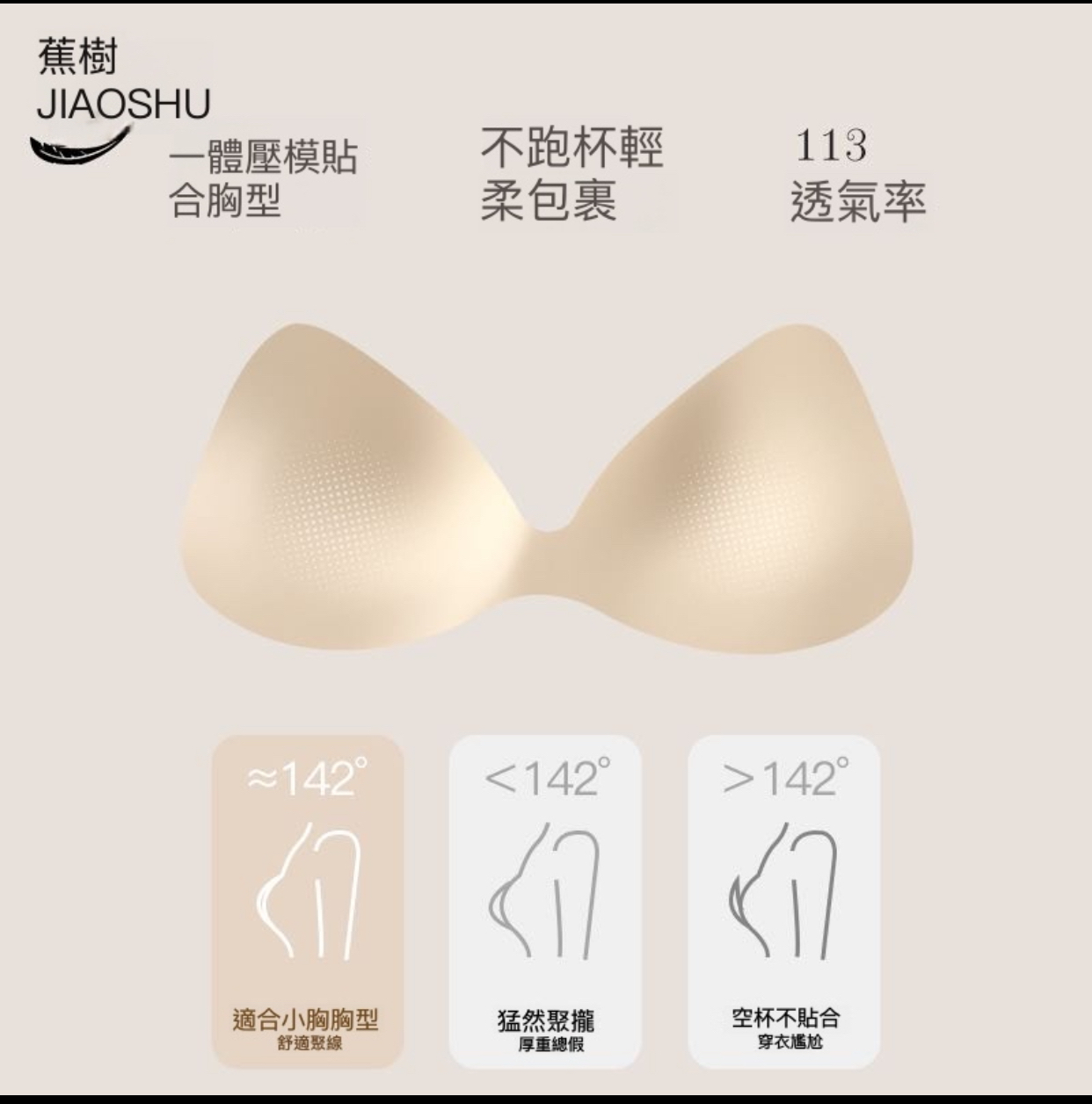 5019-20提拉修副乳貼身舒適內衣套裝