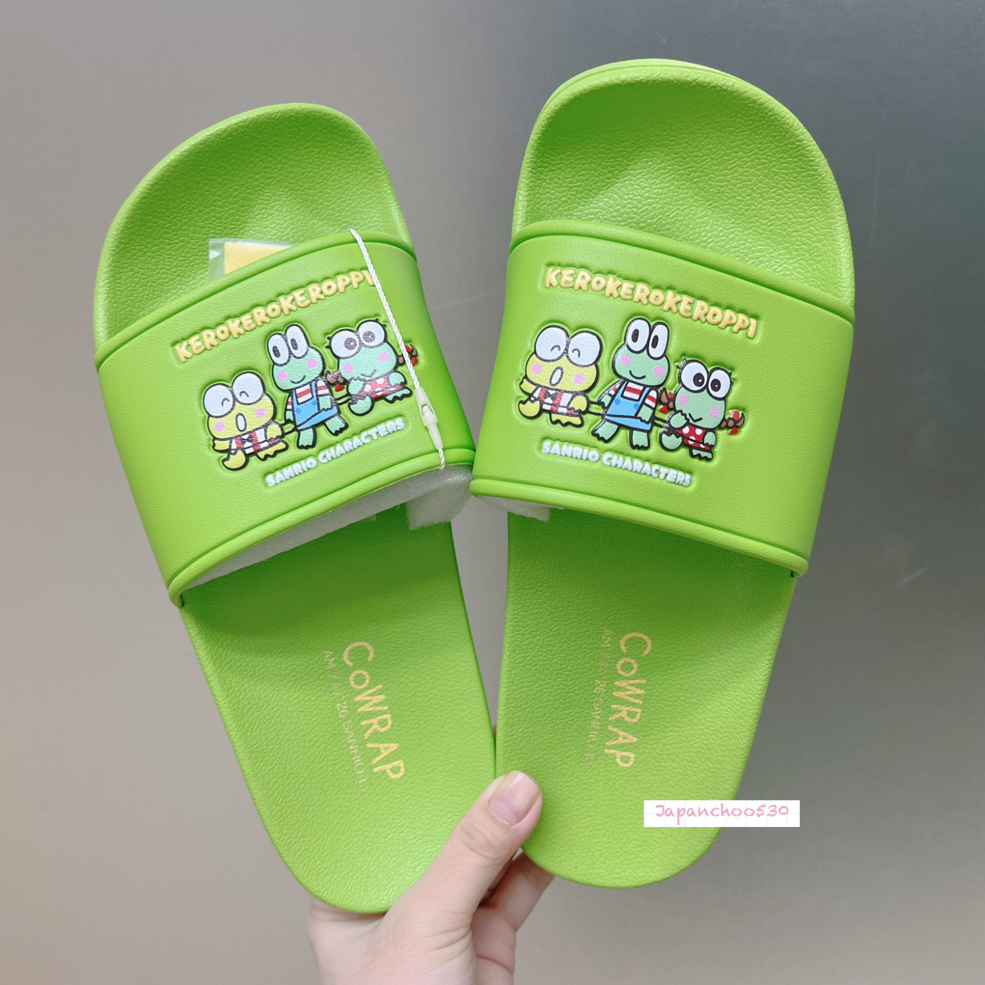 日本預訂📍日本Sanrio可愛圖案夏日拖鞋 1/4日本開售