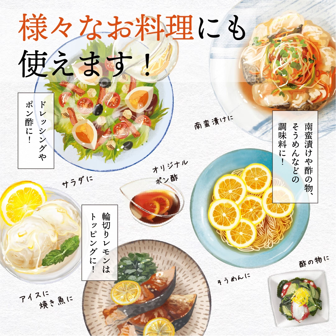 【天然美顏】日本製 瀨戶內檸檬蘋果醋 (220g)