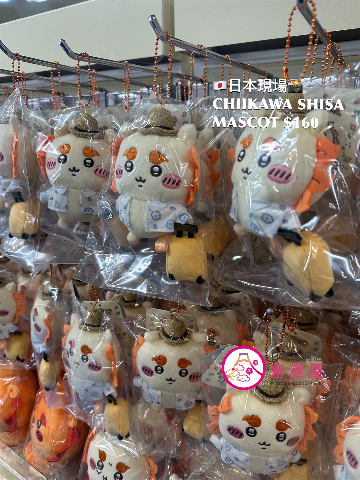 CHIIKAWA SHISA 風獅爺 MASCOT