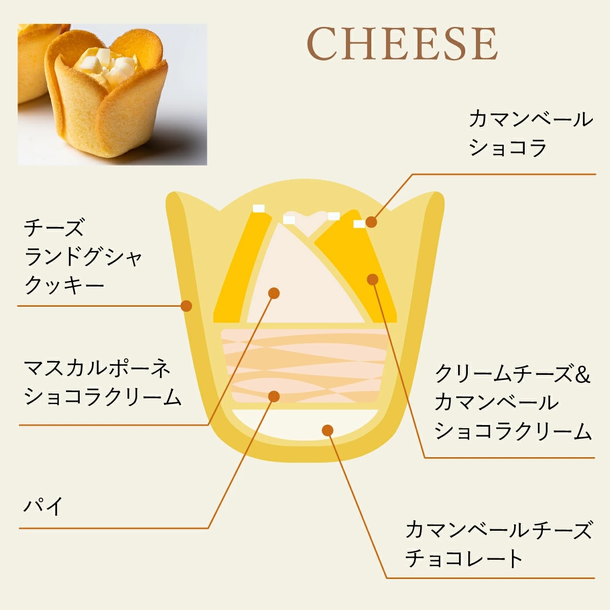 TULIP ROSE チューリップローズ in season　15袋入 - 01260330