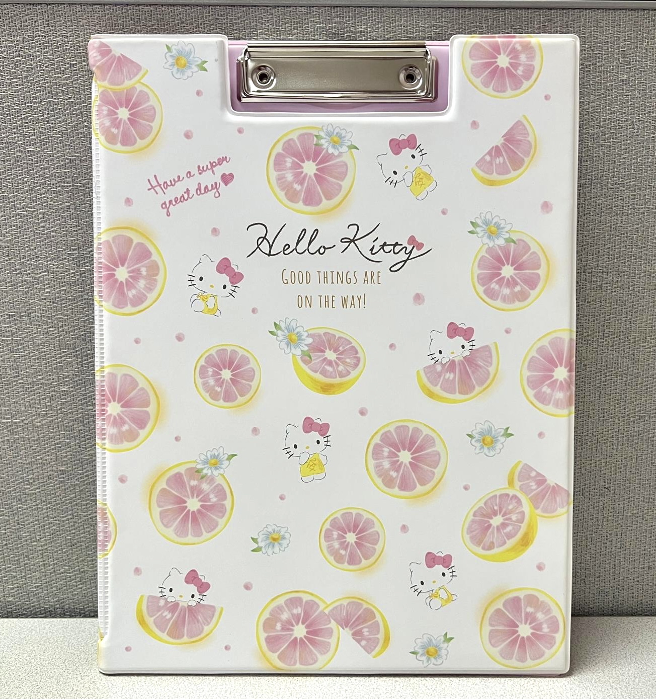 🎌日本直送🎌Sanrio 卡通 文件板連File