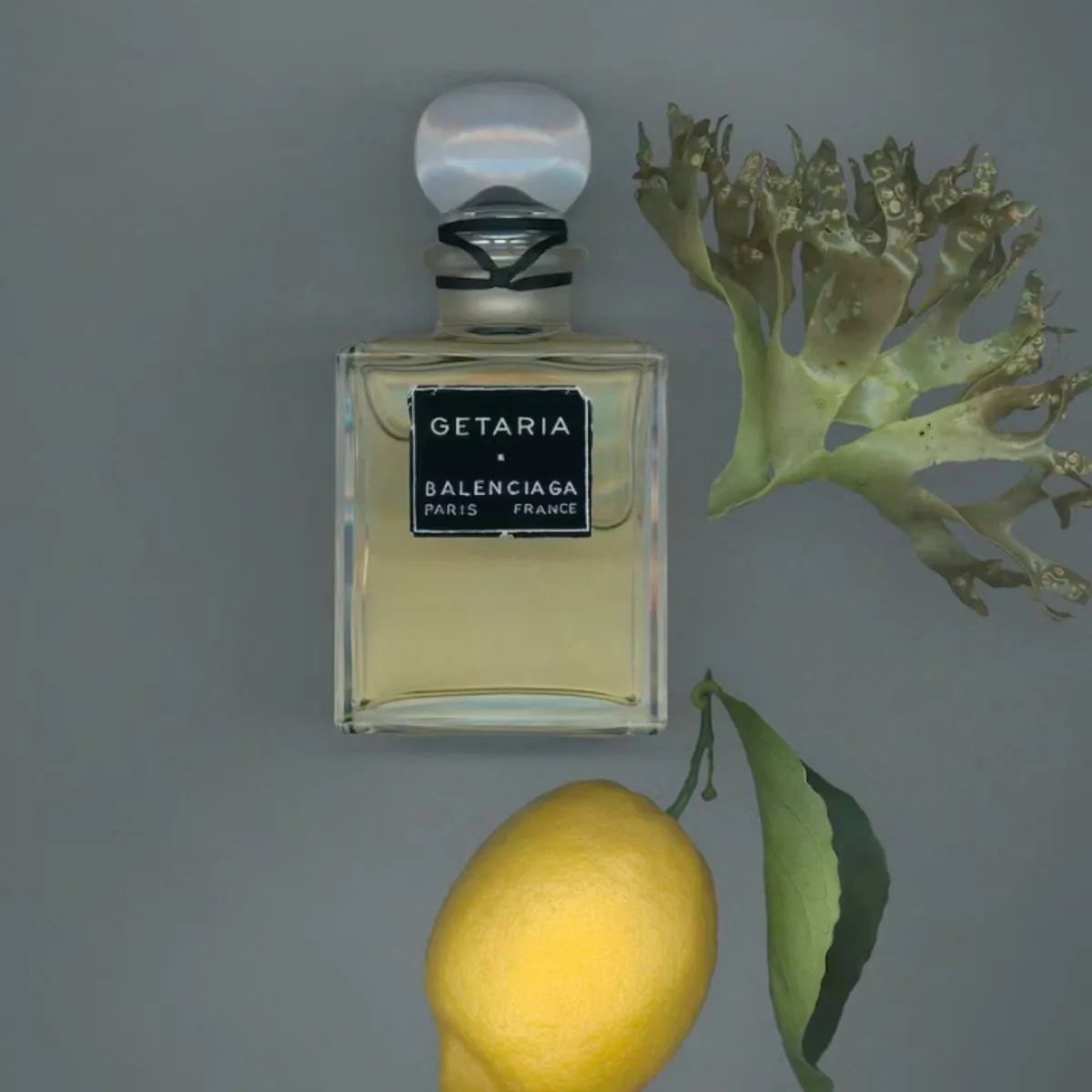 BALENCIAGA Parfum 香水 - Geteria 100ml