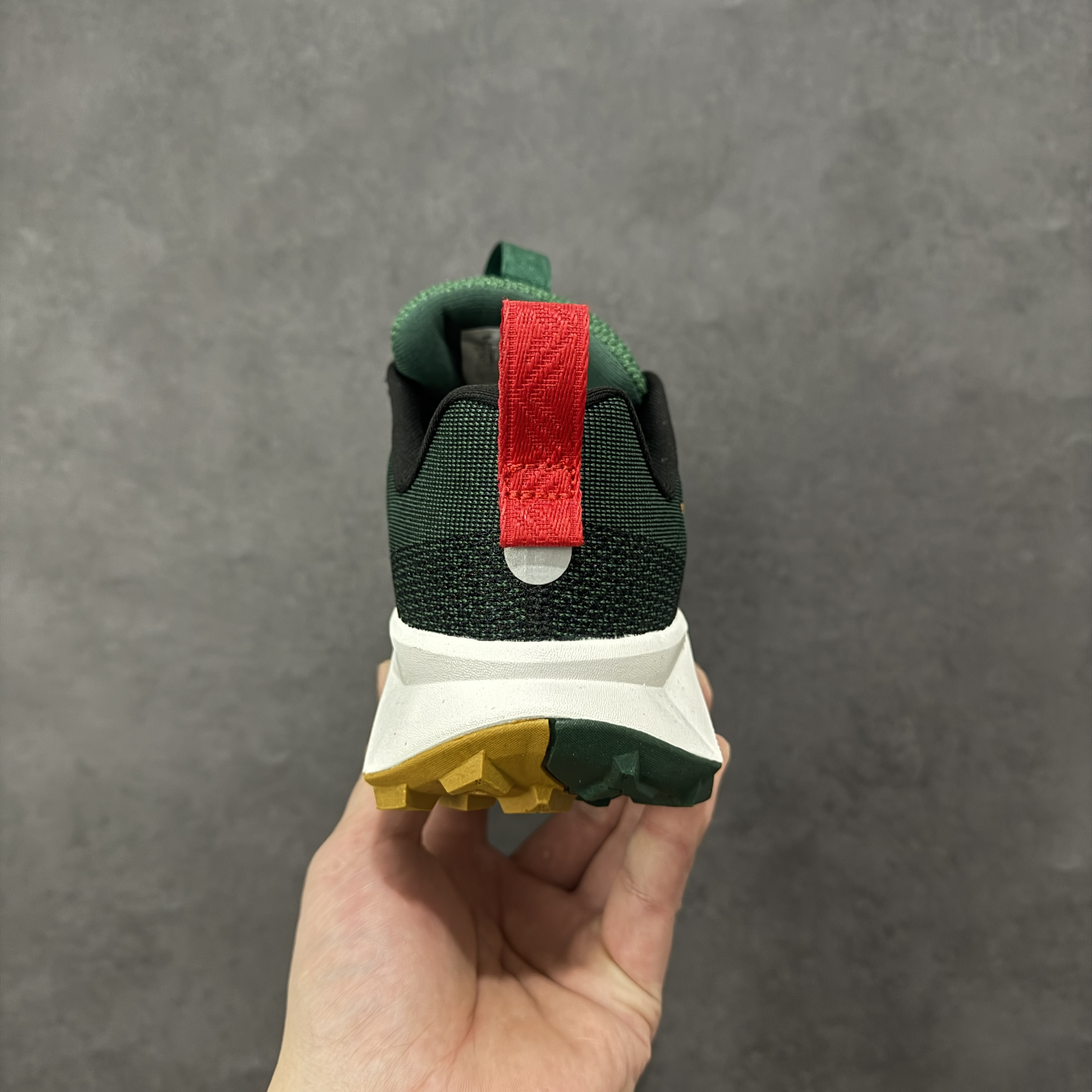 Nike Wildhorse 10 FV2338-005