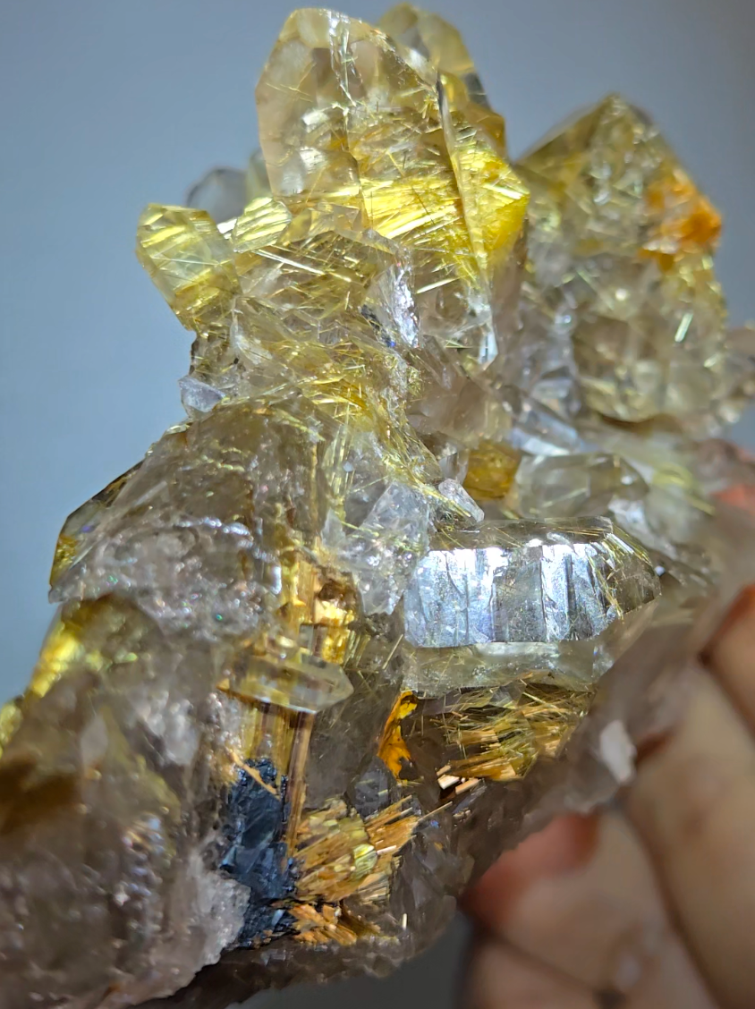 High-grade golden starburst rutiles on black hematite in quartz - RT1434