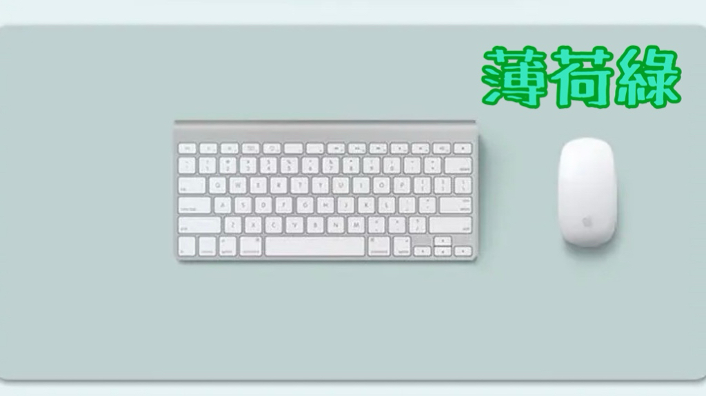 TECHGEAR仿皮多功能桌面工作墊