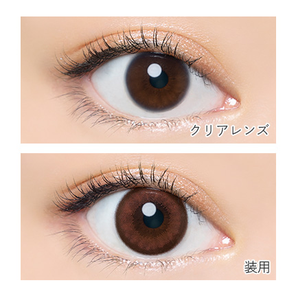 AngelColor Bambi Series - Cassis Brown (1day/10P)