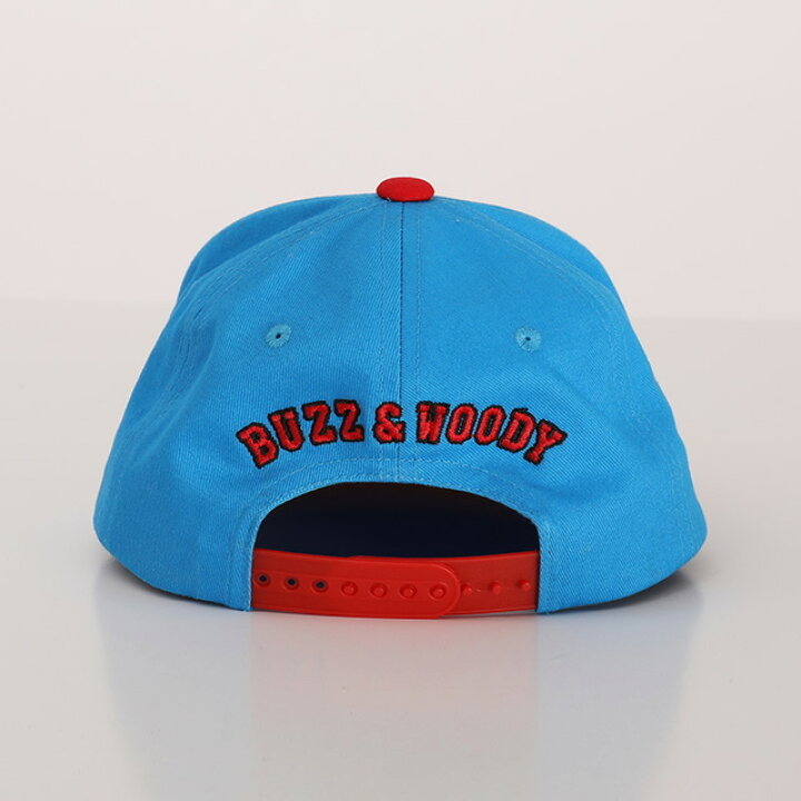 🇯🇵預訂 日本直送🇯🇵Babydoll x Toy Story系列人物印花拼色棒球帽