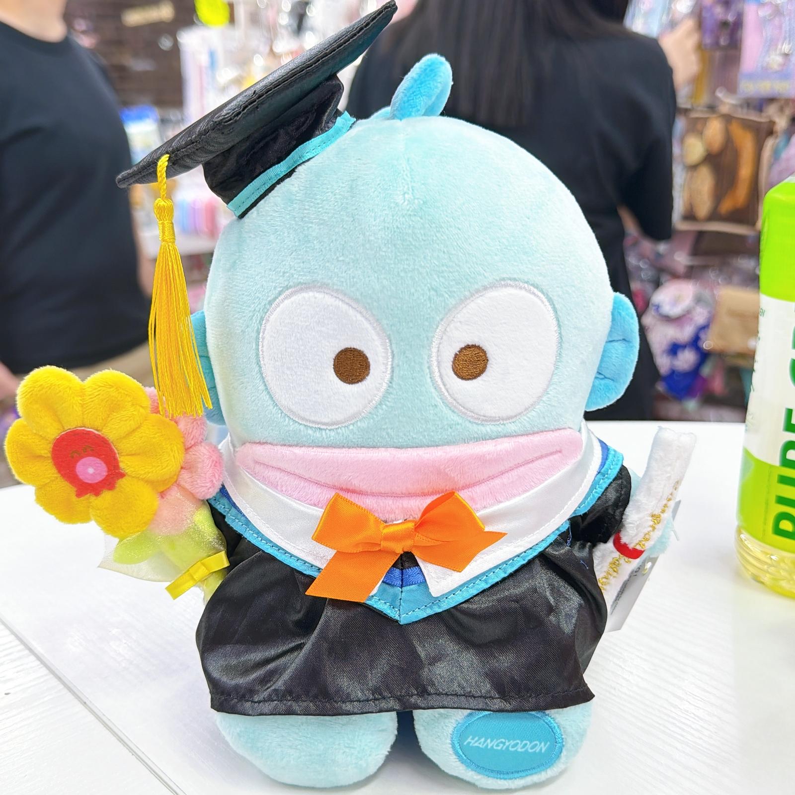 原裝行貨Sanrio 20 cm畢業公仔