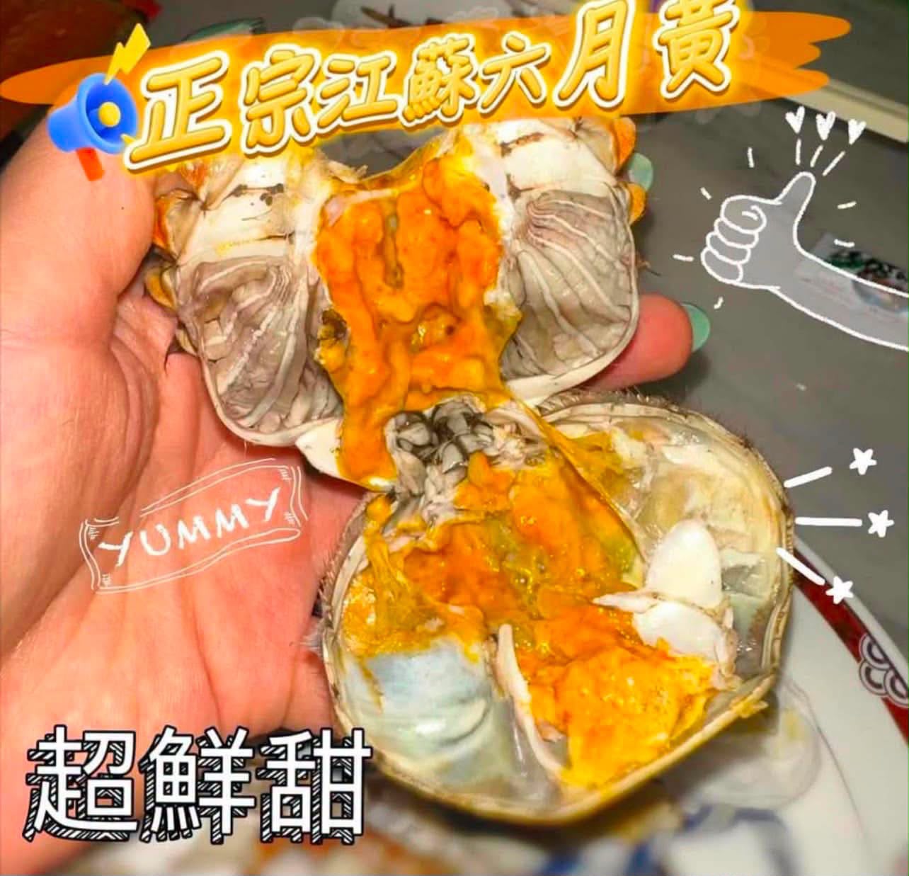 江蘇大閘蟹六月黃