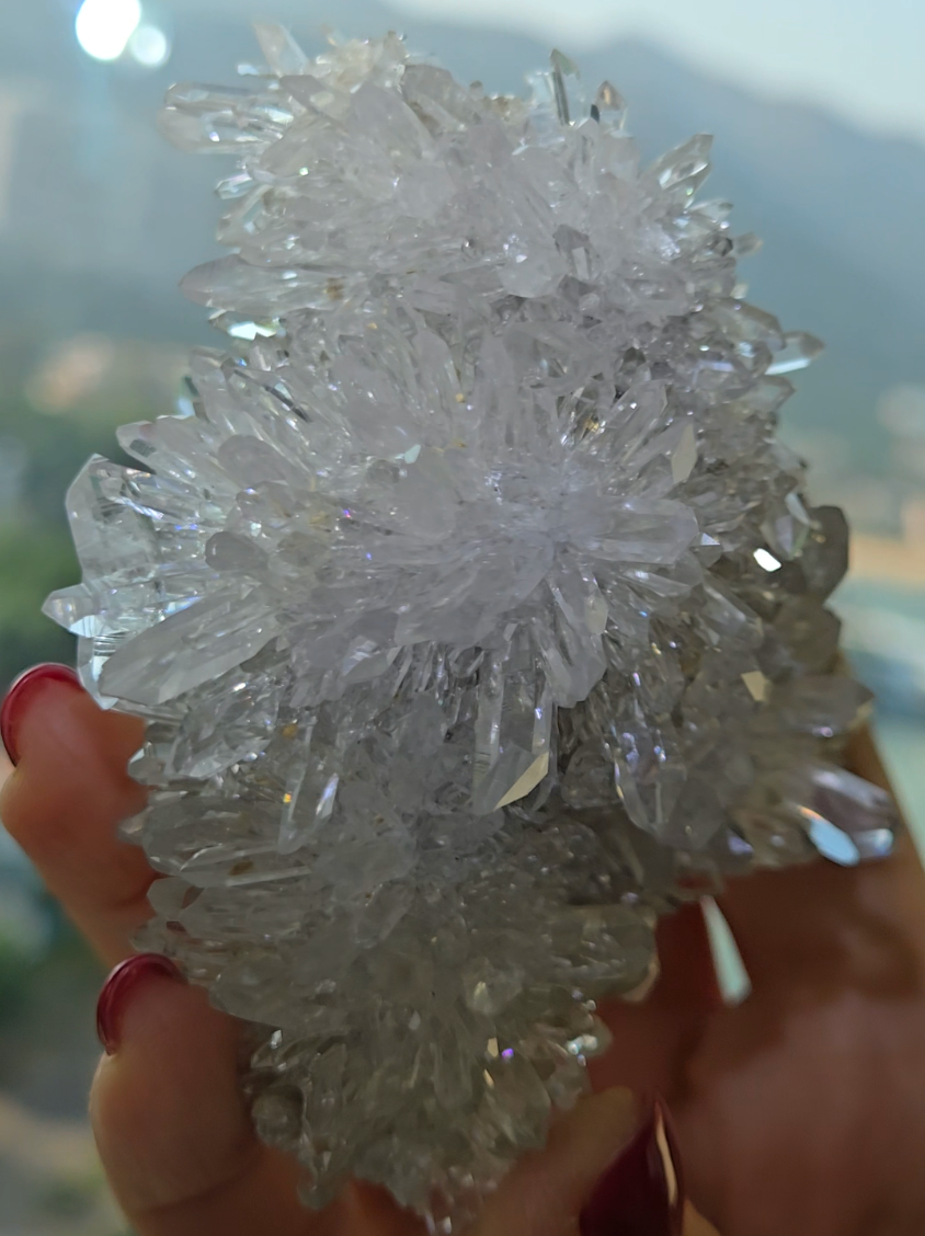 Chrysanthemum needle quartz with flower buds - CQ477
