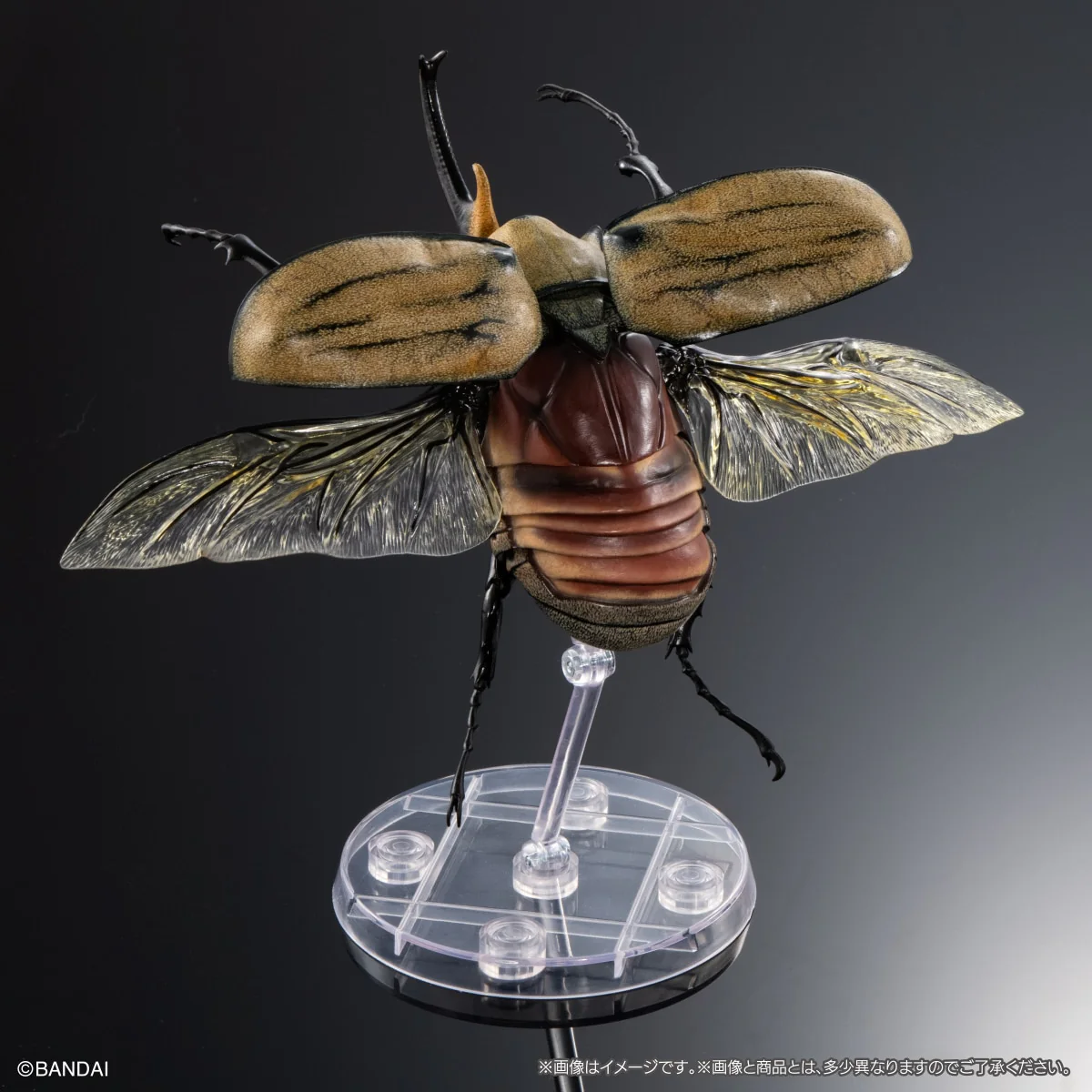 【預訂日期至06/4/26】 [魂SHOP限定 GOL] 生物大圖鑑 由蟲 04 展示支架 & 中型樹皮底座 套裝 / [GOL]THE DIVERSITY OF LIFE ON EARTH ADVANCE BEETLE 04 DISPLAY STAND & BARK PEDESTAL (MEDIUM) SET 🌸[訂單確認後,本店會於一週內發出電子預購單據,屆時請確認WhatsApp對話查收。"如需到店提取紙質單據或使用其他通訊APP可於備註告知"]