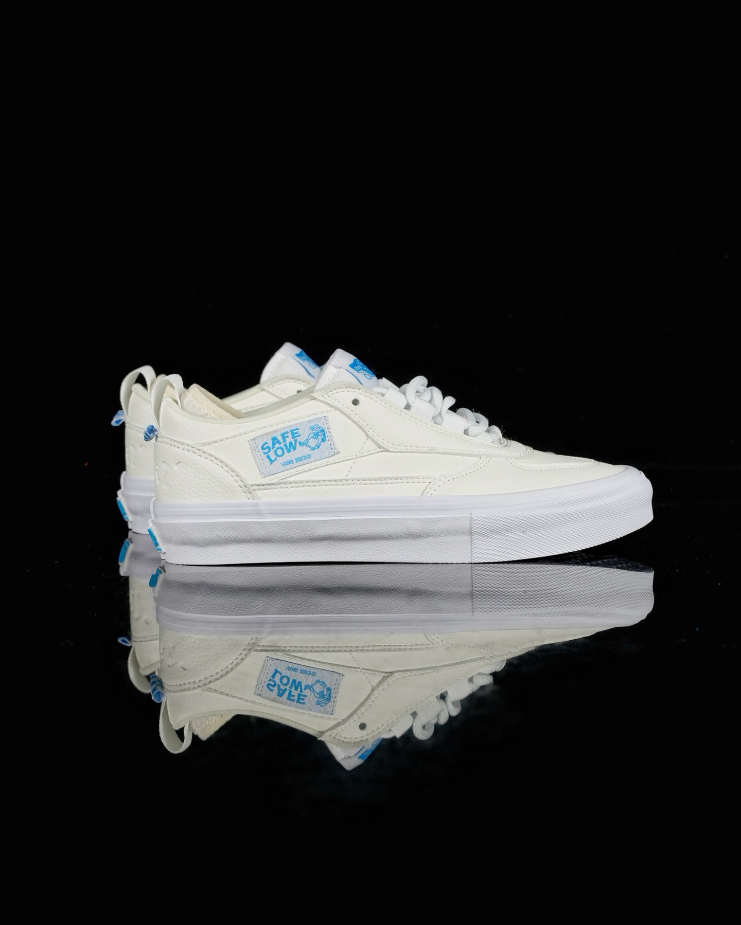 Vans Skate Safe Low