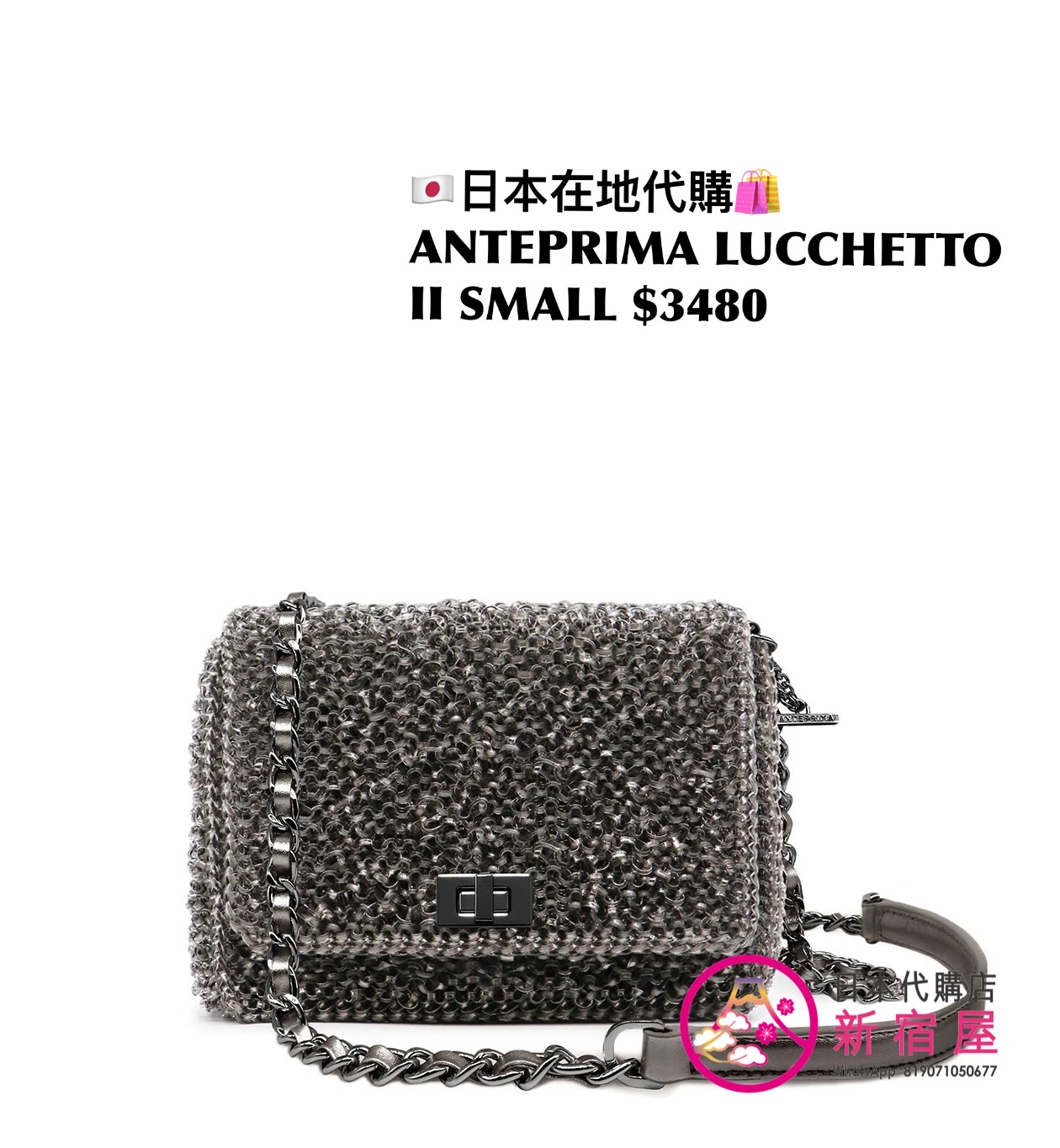 ANTEPRIMA LUCCHETTO II SMALL