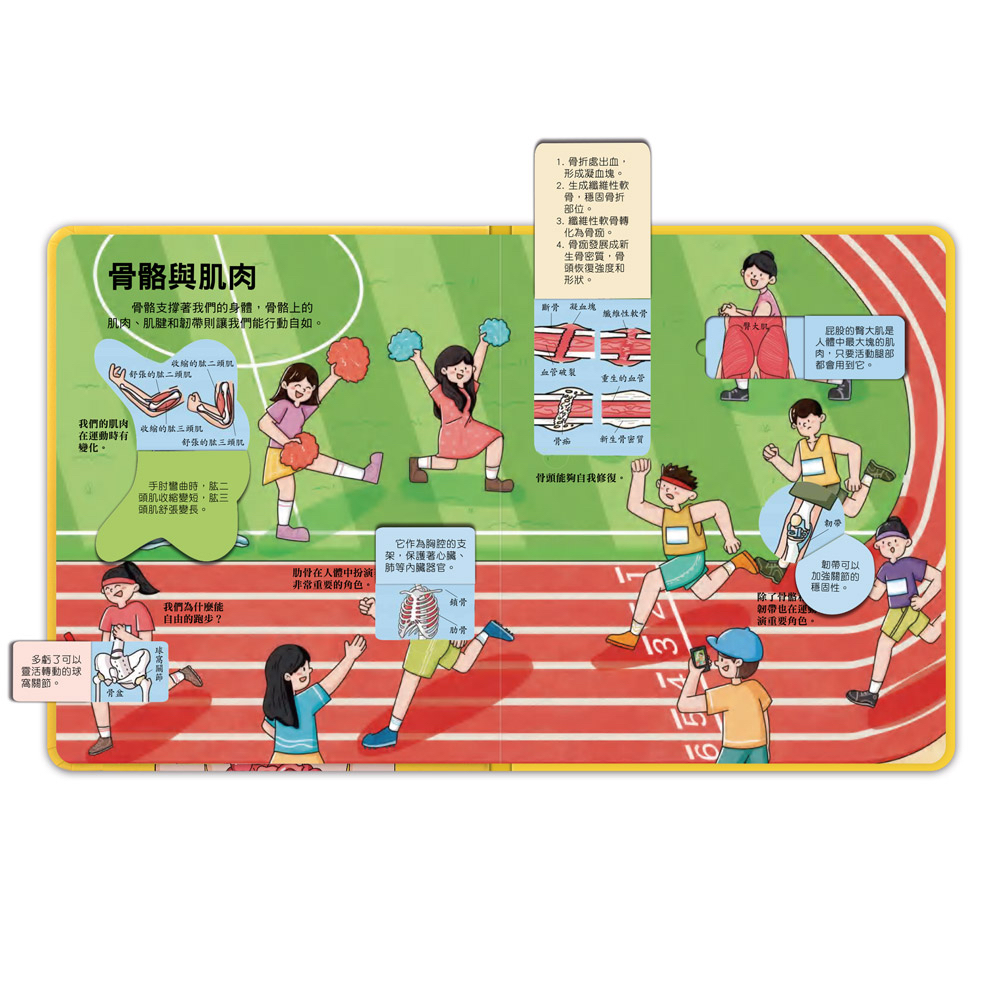 📚預訂 台灣直送📚百問百答圖解翻翻書-揭祕身體