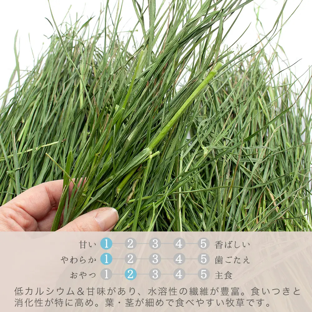 日本Leaf Corp 上癮的義大利黑麥草 100g