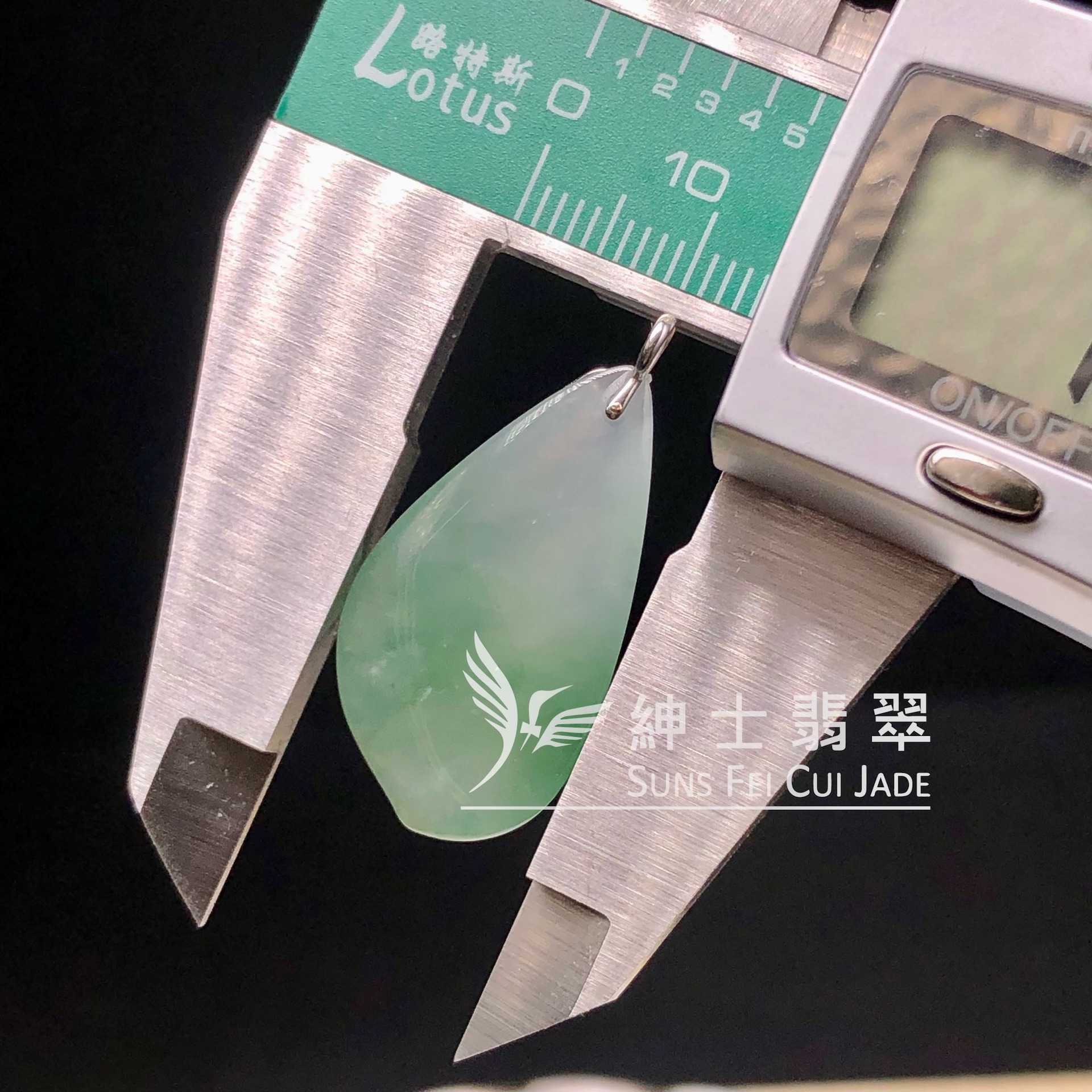 YK01056 老油青玉蓮