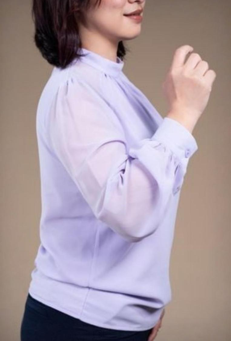 Chiffon Mock Neck Blouse 