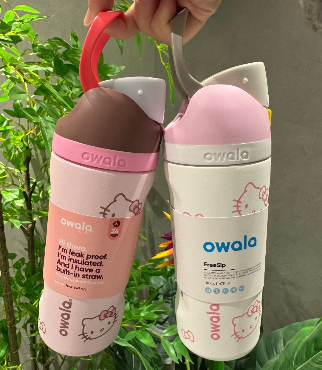 Owala × Hello Kitty 正版聯名保冷水壺 16oz 480ml 