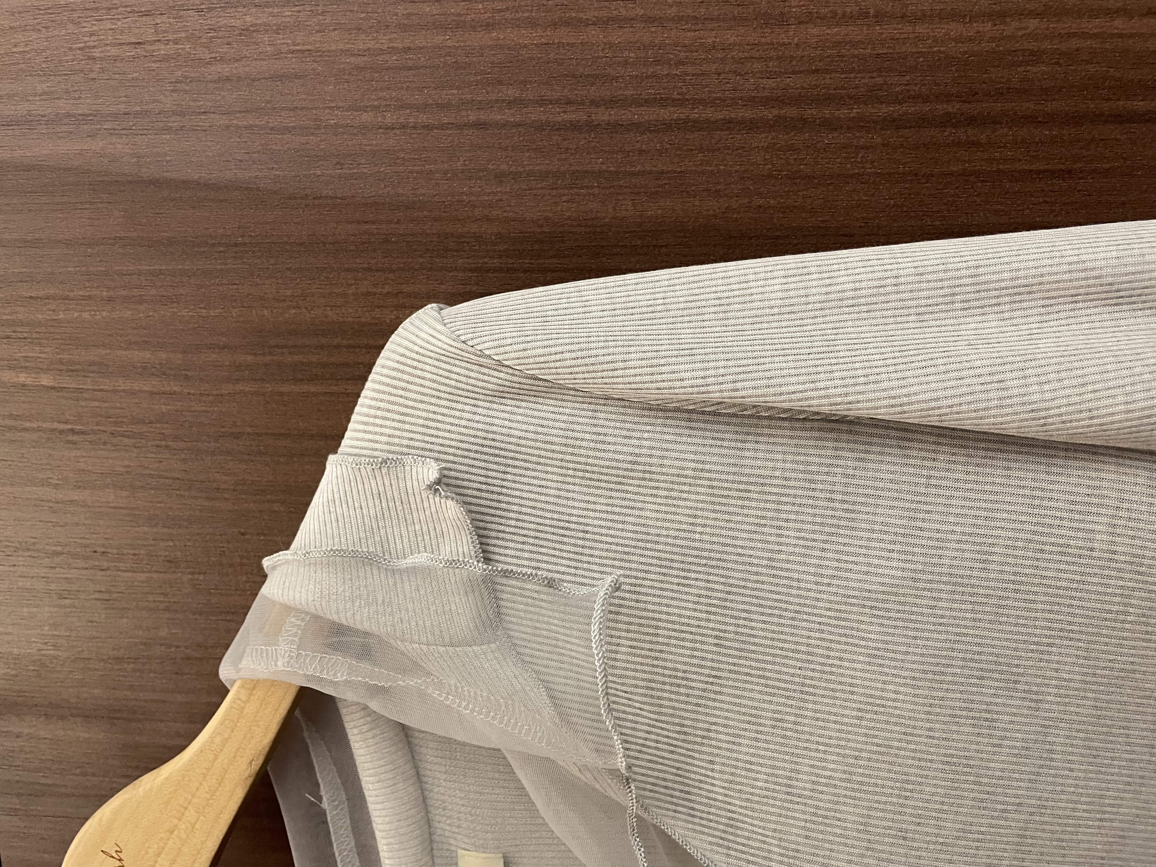 🍂SEE-THROUGH LAYER TOP