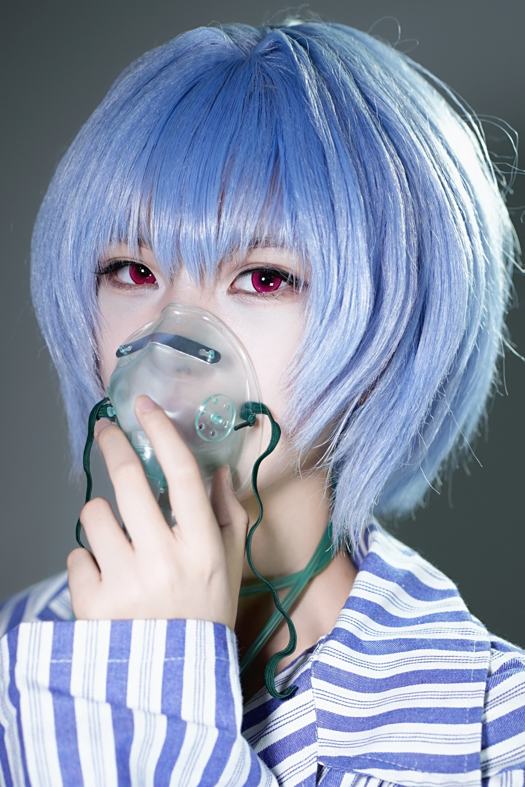 Dgugulens 日拋 波崽糕系列