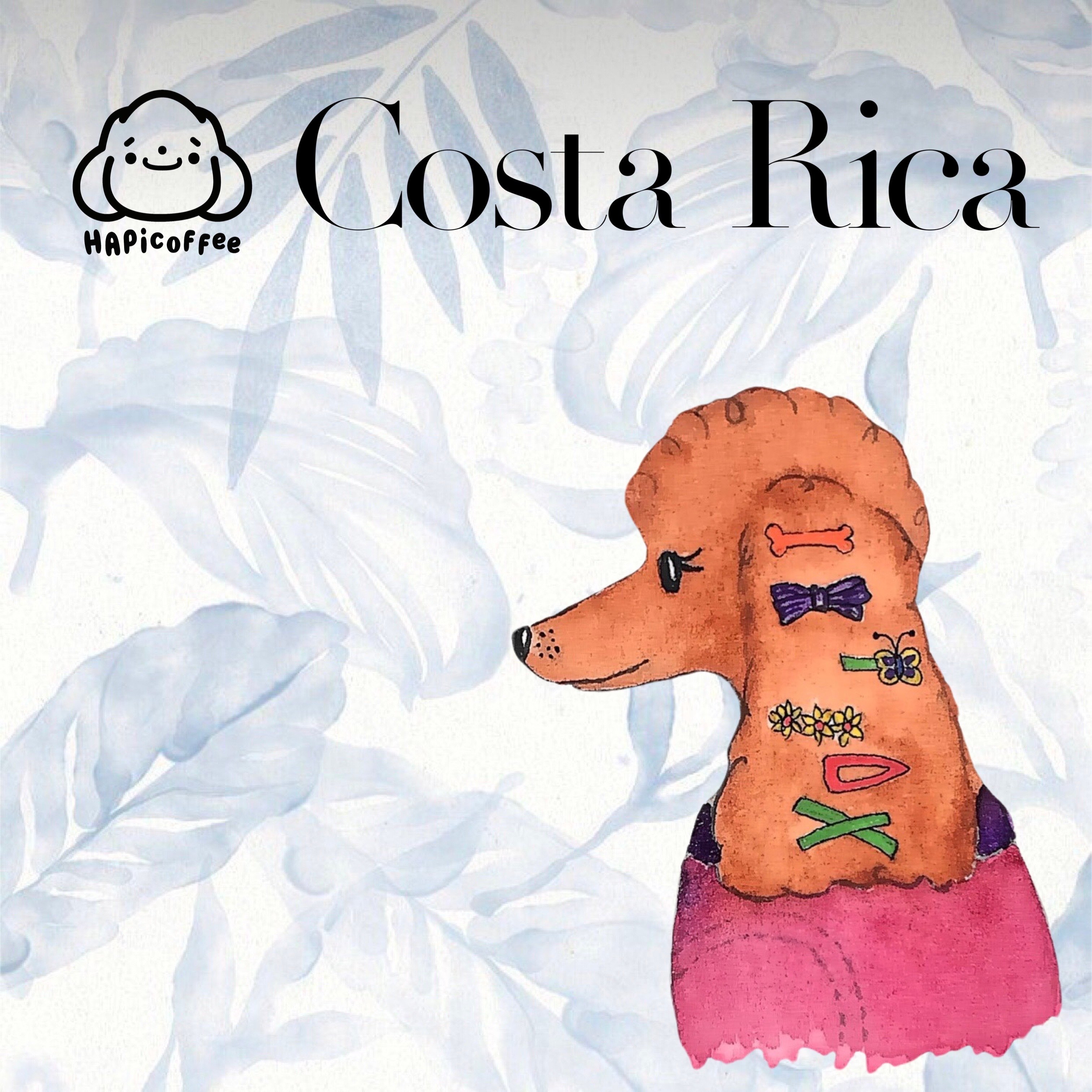 09/04 Costa Rica West Valley Naranjo Emanuel Sin Limites Kenia 