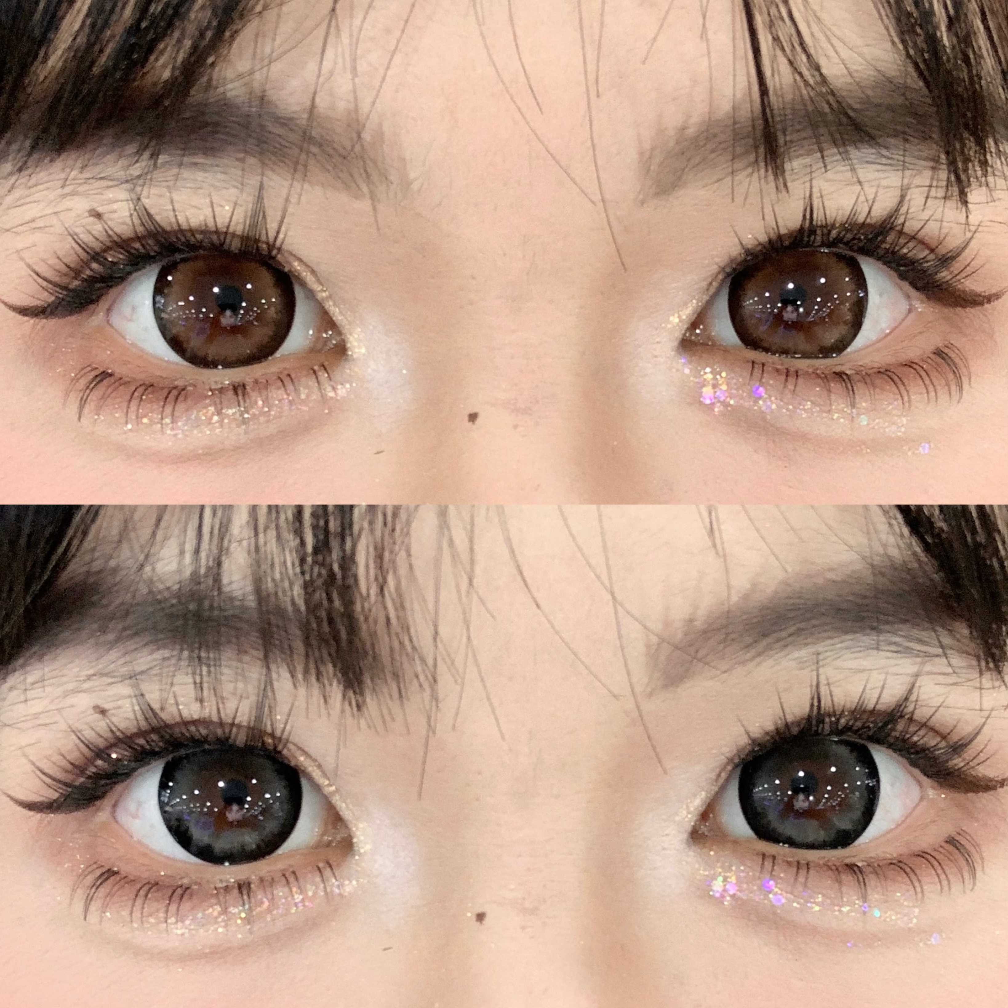 Kaylens 半年拋 圓萌熊/甜果茶