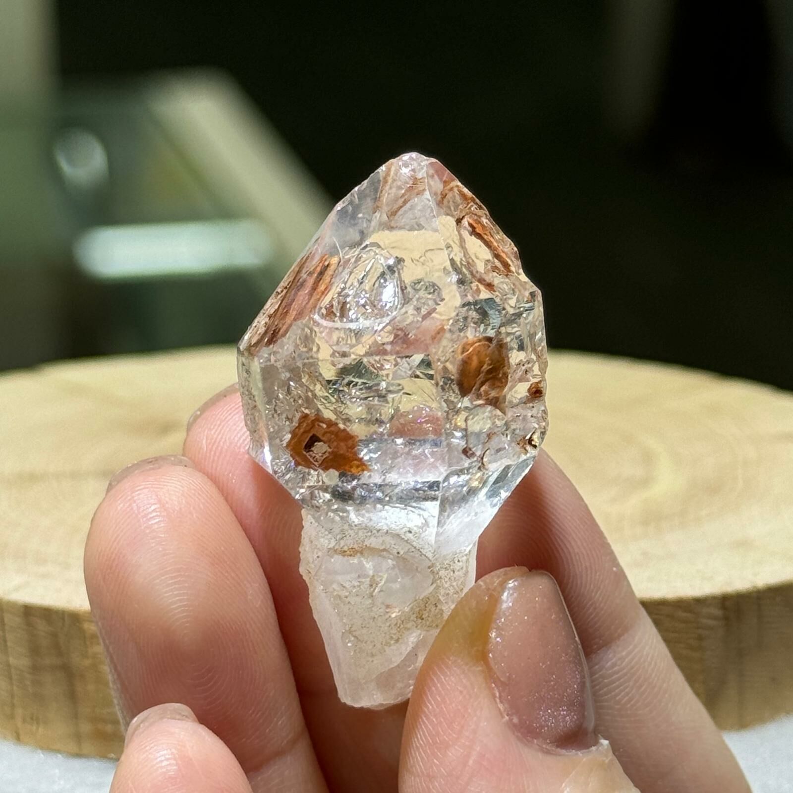紅泥骸骨水晶 - 2