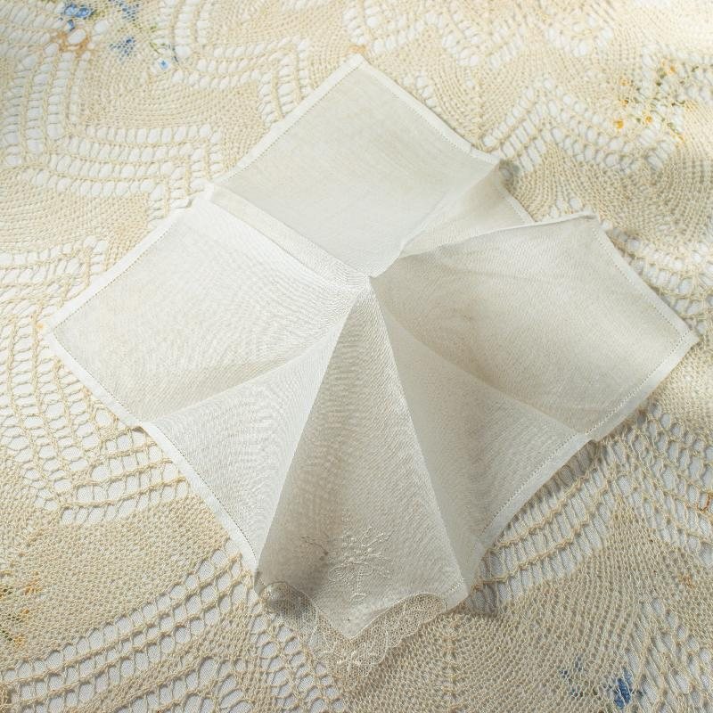 Vintage Made in Switzerland Hand Embroidered Handkerchief (EX020)