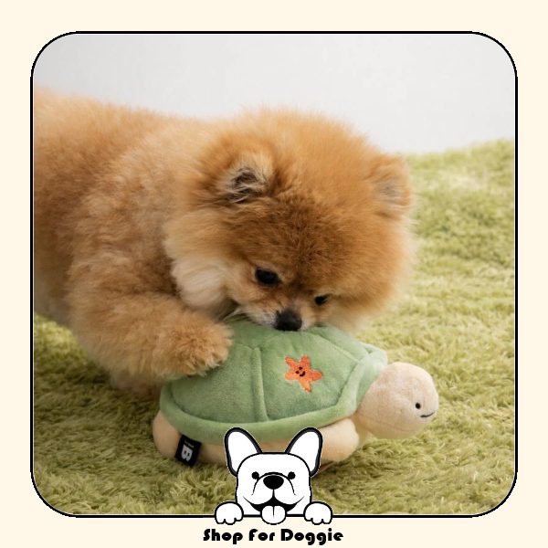 韓國 Bite Me Jumping Boogie 跳躍龜自動玩具球