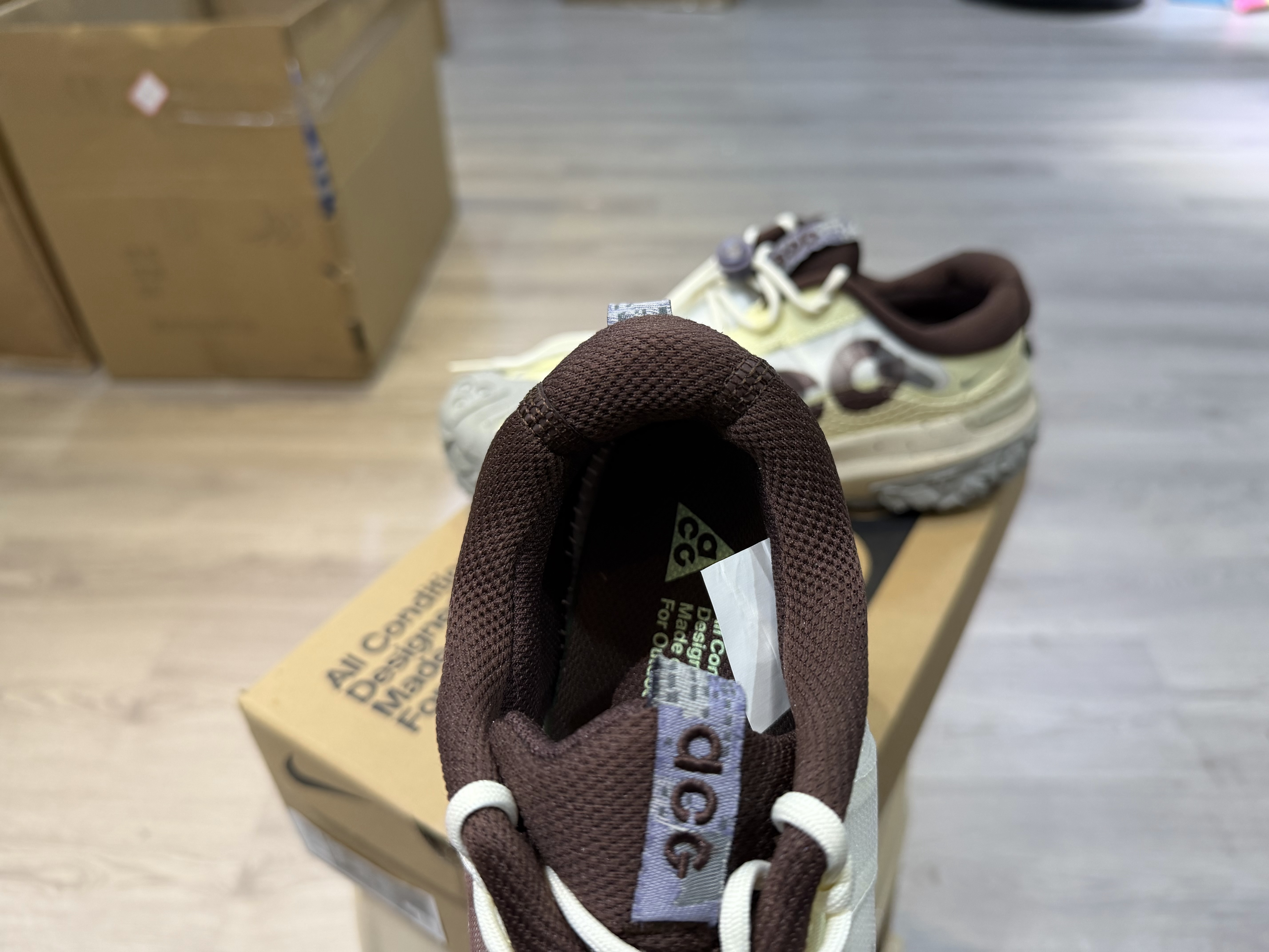 Nike ACG Mountain Fly 2 Low