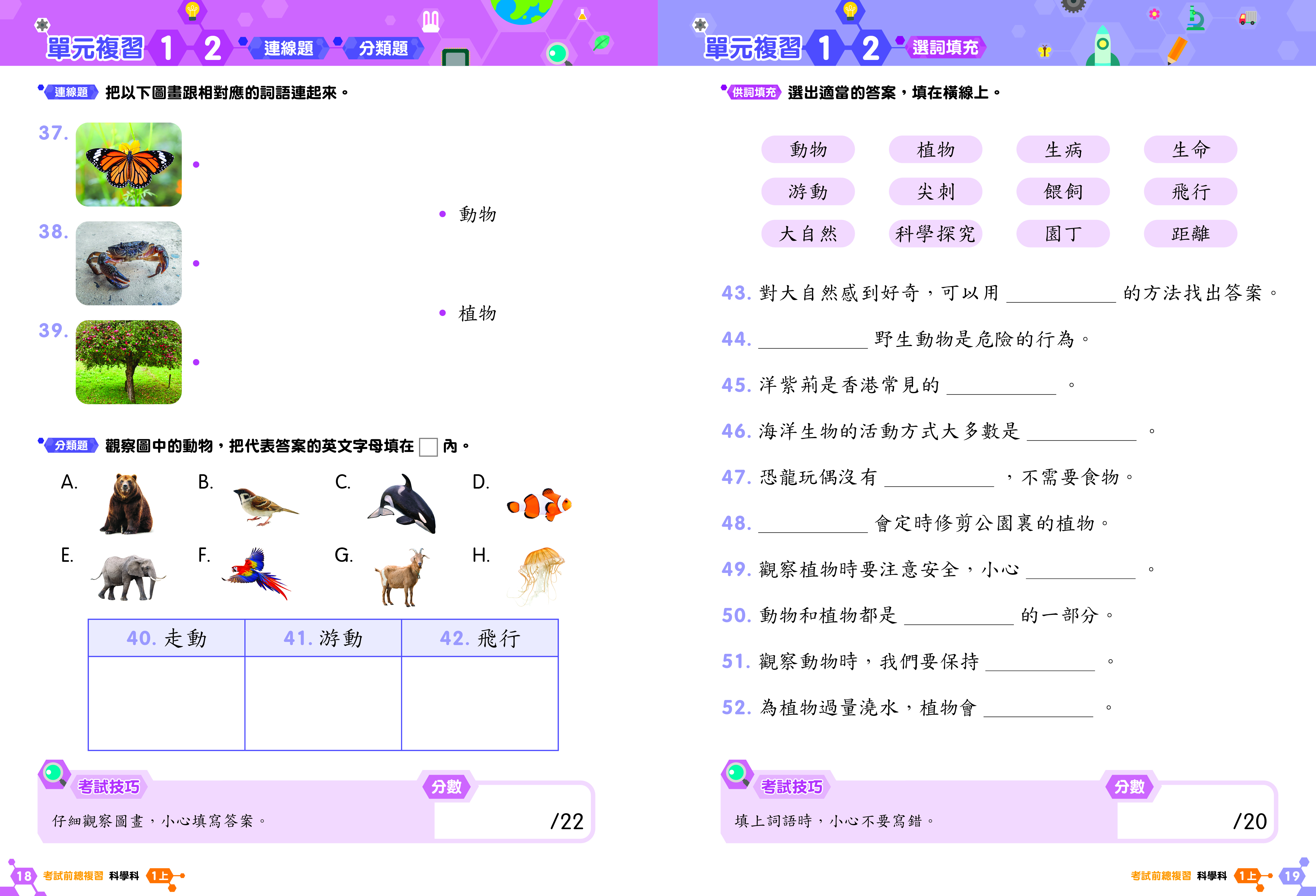 《小學科學科溫習全攻略：考試前總複習 + 模擬試卷》