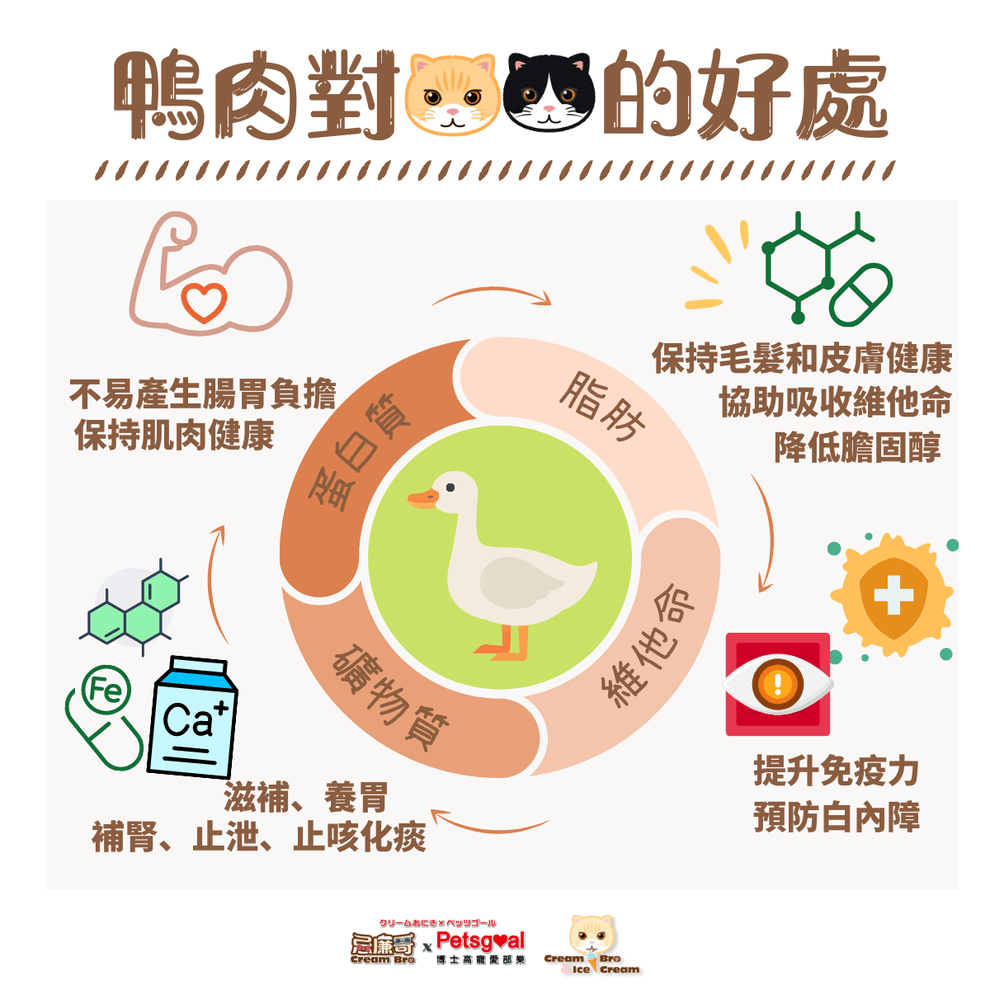 (現貨即取)忌廉哥xPetsgoal 鴨肉凍乾脫水肉粒(貓狗適用) 200g