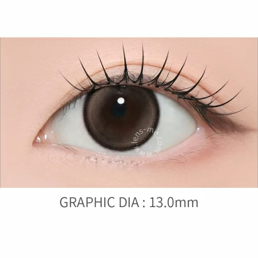 Lensme - Fogveil Brown (1day/10P)